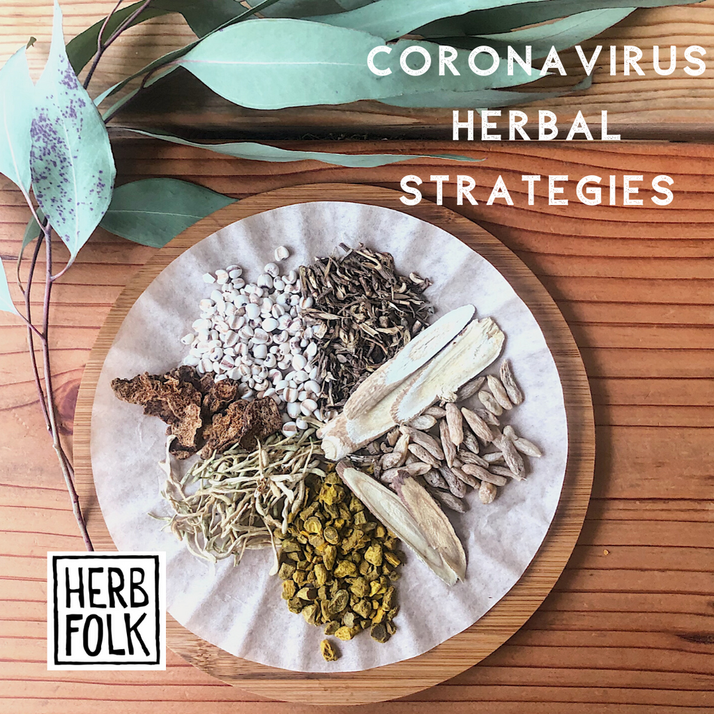 Coronavirus Herbal Strategies