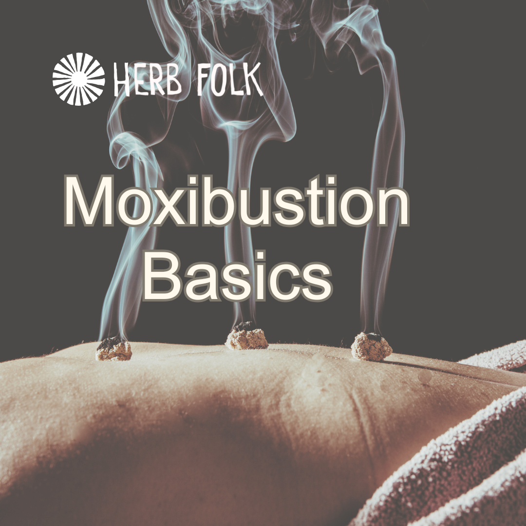 Moxibustion Basics: 2-Hour Online Course– HERB FOLK